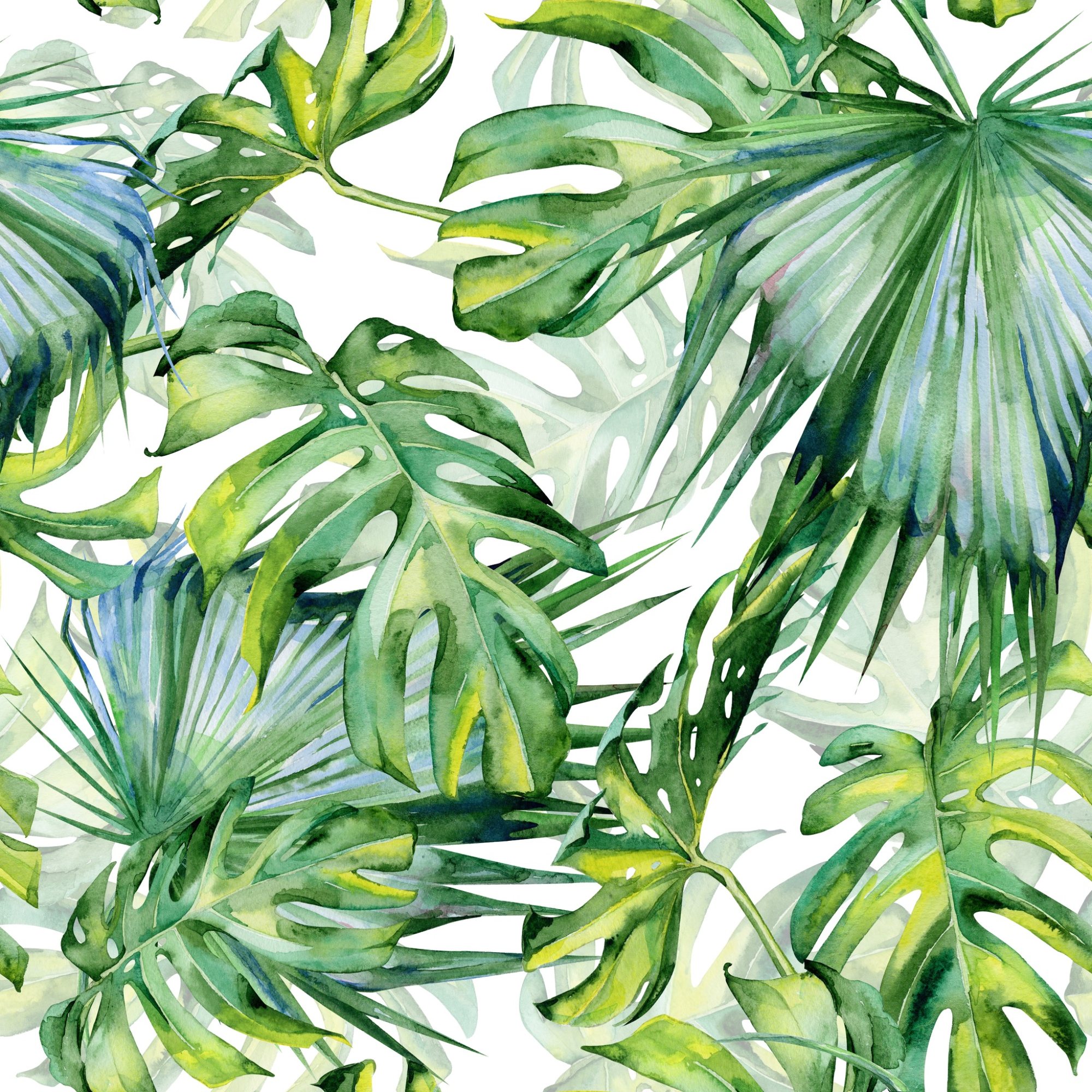Jungle Breeze tropical wallpaper – LH Lifestyle
